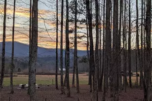 3349 Whitepath Rd, Ellijay, GA 30540 - Photo 75