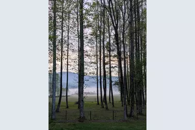 3349 Whitepath Road, Ellijay, GA 30540 - Photo 3