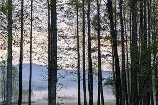 3349 Whitepath Rd, Ellijay, GA 30540 - Photo 3