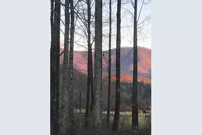 3349 Whitepath Road, Ellijay, GA 30540 - Photo 5