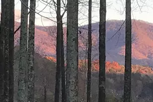 3349 Whitepath Rd, Ellijay, GA 30540 - Photo 5