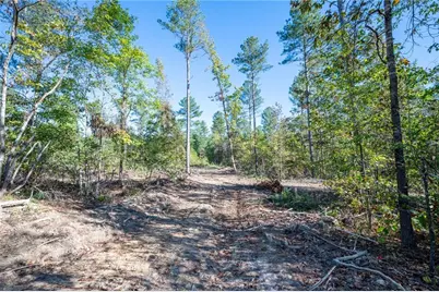 3863 Hwy 140 NE, Rydal, GA 30171 - Photo 5