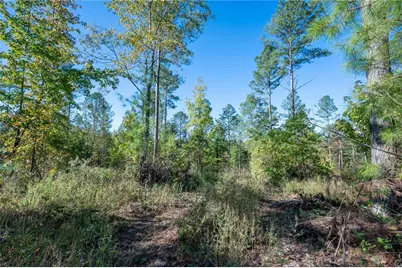 3863 Hwy 140 NE, Rydal, GA 30171 - Photo 11