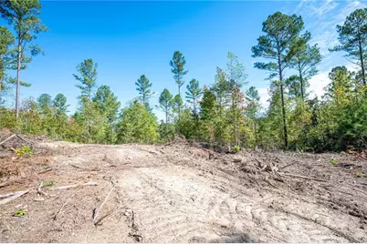3809 Hwy 140 NE, Rydal, GA 30171 - Photo 7