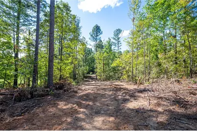3809 Hwy 140 NE, Rydal, GA 30171 - Photo 13