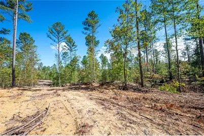 3809 Hwy 140 NE, Rydal, GA 30171 - Photo 9