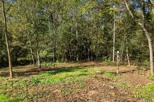 1328 Jefferson Hwy, Winder, GA 30680 - Photo 61