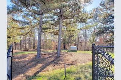 215 Storm Lane, Hoschton, GA 30548 - Photo 33