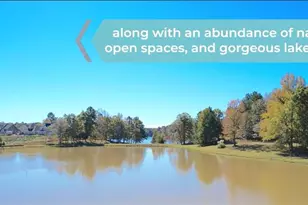 243 Storm Ln, Hoschton, GA 30548 - Photo 41