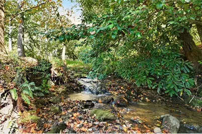 136 Ross Road, Mineral Bluff, GA 30559 - Photo 5