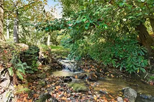 136 Ross Rd, Mineral Bluff, GA 30559 - Photo 5