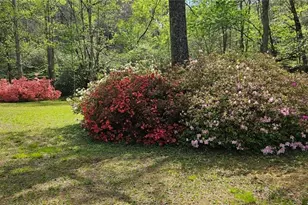 136 Ross Rd, Mineral Bluff, GA 30559 - Photo 57