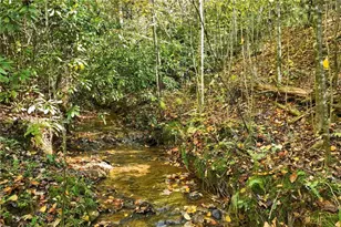 136 Ross Rd, Mineral Bluff, GA 30559 - Photo 63