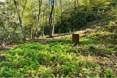 136 Ross Road, Mineral Bluff, GA 30559 - Photo 57