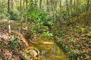 136 Ross Rd, Mineral Bluff, GA 30559 - Photo 61