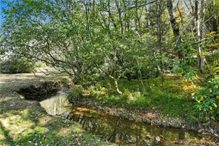 136 Ross Rd, Mineral Bluff, GA 30559 - Photo 55