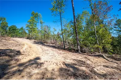 3793 Hwy 140 NE, Rydal, GA 30171 - Photo 13