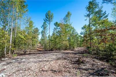 3793 Hwy 140 NE, Rydal, GA 30171 - Photo 7