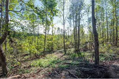 3793 Hwy 140 NE, Rydal, GA 30171 - Photo 25