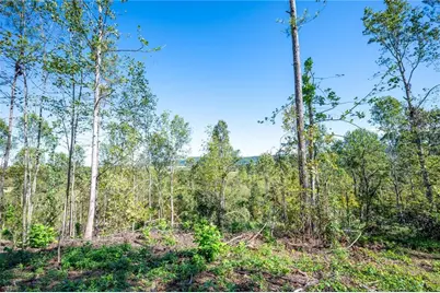 3793 Hwy 140 NE, Rydal, GA 30171 - Photo 23