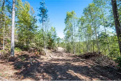 3793 Hwy 140 NE, Rydal, GA 30171 - Photo 19