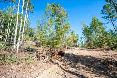 3793 Hwy 140 NE, Rydal, GA 30171 - Photo 11