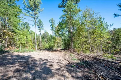 3793 Hwy 140 NE, Rydal, GA 30171 - Photo 21