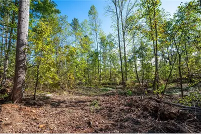 3793 Hwy 140 NE, Rydal, GA 30171 - Photo 9