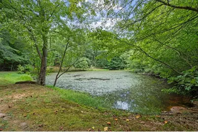 1828 Roosterville Road, Roopville, GA 30170 - Photo 39