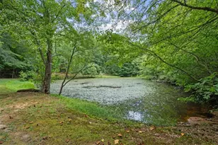 1828 Roosterville Rd, Roopville, GA 30170 - Photo 39