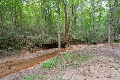 1828 Roosterville Road, Roopville, GA 30170 - Photo 45