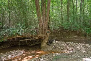 1828 Roosterville Rd, Roopville, GA 30170 - Photo 43