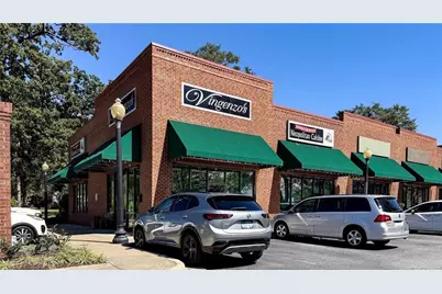 184 Swanee Lane, Woodstock, GA 30188 - Photo 73