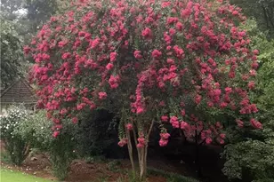 1700 Chartwell Trace, Stone Mountain, GA 30087 - Photo 55