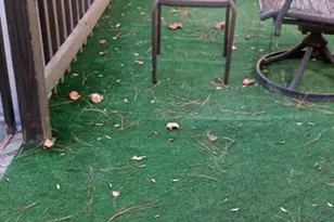 3816 Holy Cross Ct, Decatur, GA 30034 - Photo 37