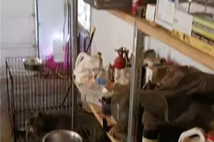 3816 Holy Cross Ct, Decatur, GA 30034 - Photo 15