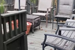 3816 Holy Cross Ct, Decatur, GA 30034 - Photo 41