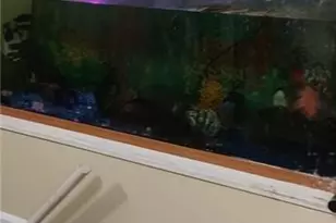 3816 Holy Cross Ct, Decatur, GA 30034 - Photo 19