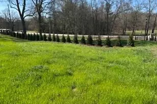 30 River Overlook Wy, Jefferson, GA 30549 - Photo 63
