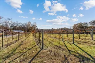 353 Spring Rdg Path, Dallas, GA 30132 - Photo 61