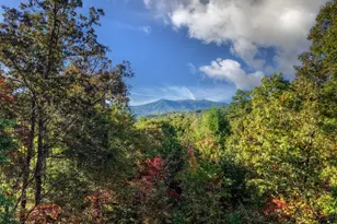 113 Deer Hunter Trail, Blue Ridge, GA 30513 - Photo 23