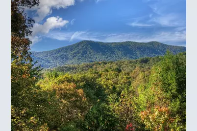 113 Deer Hunter Trail, Blue Ridge, GA 30513 - Photo 3