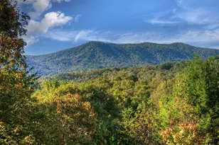 113 Deer Hunter Trail, Blue Ridge, GA 30513 - Photo 3