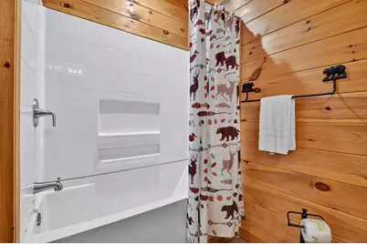 113 Deer Hunter Trail, Blue Ridge, GA 30513 - Photo 39