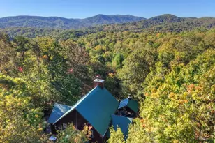 113 Deer Hunter Trail, Blue Ridge, GA 30513 - Photo 49