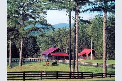 686 Laurel Hill Lane, Ellijay, GA 30536 - Photo 65