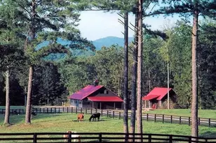 686 Laurel Hill Ln, Ellijay, GA 30536 - Photo 65