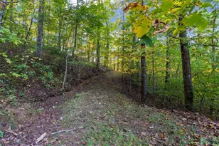 686 Laurel Hill Ln, Ellijay, GA 30536 - Photo 55