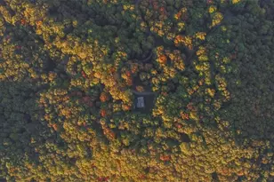 686 Laurel Hill Ln, Ellijay, GA 30536 - Photo 39