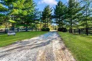 686 Laurel Hill Ln, Ellijay, GA 30536 - Photo 51
